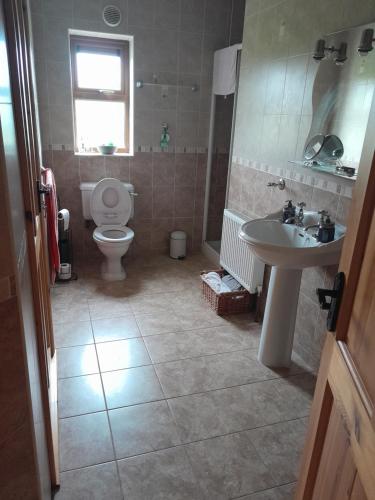uma casa de banho com um WC e um lavatório em Nature's Rest em Carrick on Shannon