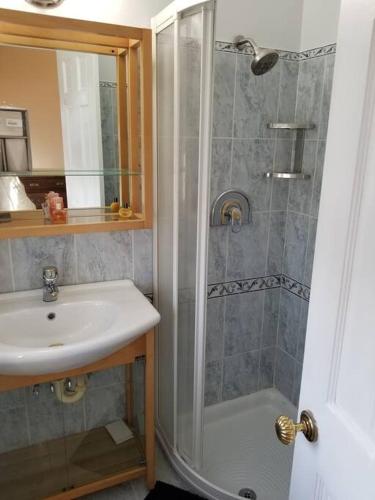 a bathroom with a shower and a sink at Beautiful 3 Bed 3 & a half Bath Home with Pool & Dock Slip in Freeport