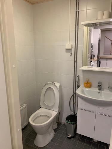 a bathroom with a toilet and a sink at Saimaa Apartment in Lappeenranta
