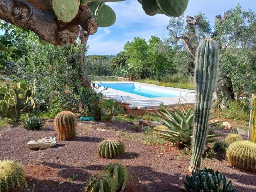 un jardín con cactus y una piscina en CA' DEL FICO D'INDIA - Antico Casale di charme, en Casarano