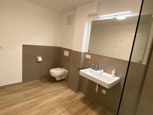 a bathroom with a toilet and a sink and a mirror at Hofgut Breitenbach in Markdorf