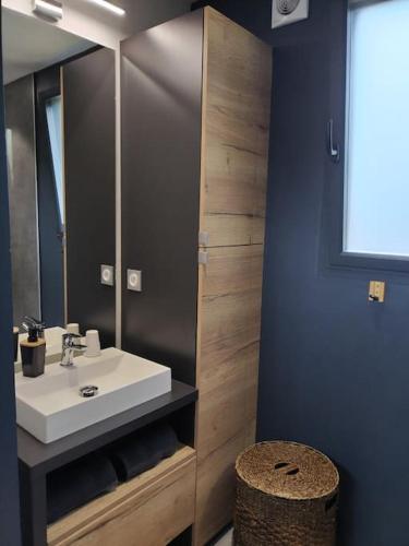 a bathroom with a sink and a mirror at Chalet moderne, Jacuzzi & Cinéma in Saint-Coulitz