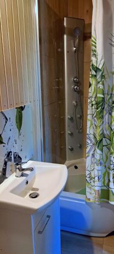 a bathroom with a sink and a shower at Domek Sauna Gaładuś in Radziucie