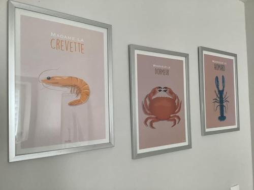 a group of framed pictures on a wall at Le petit Four Neuf in Lézardrieux