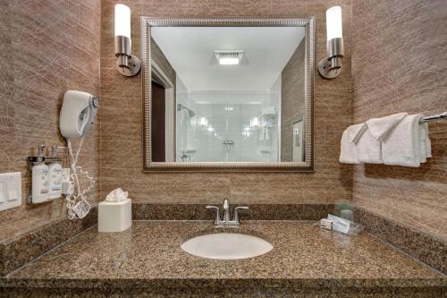 a bathroom with a sink and a mirror at Holiday Inn Detroit Metro Airport by IHG in Romulus