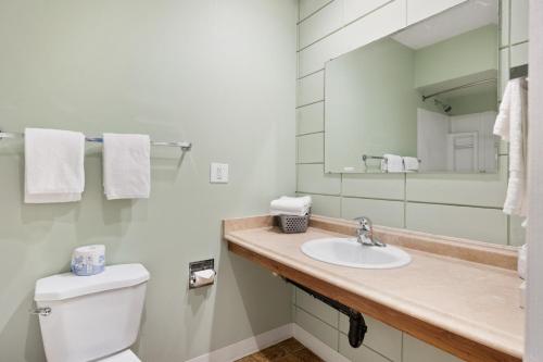 een badkamer met een toilet, een wastafel en een spiegel bij Big Rock Motel in Campbell River