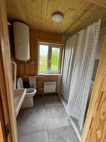 uma casa de banho com um WC, um lavatório e uma janela em Vasaras mājiņa D1 