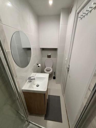 une salle de bain avec un lavabo, des toilettes et un miroir dans l'établissement Appartement 2P au Panier, à Marseille