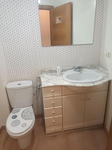 a bathroom with a sink and a toilet and a mirror at Apartamento Café Teatro in Arzúa