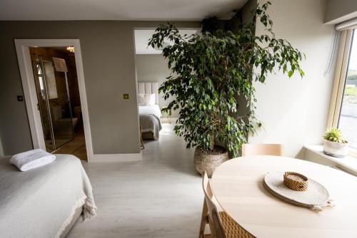 a bedroom with a table and a bed and plants at Coastal View House in Doolin