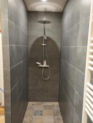 een badkamer met een douche met grijze tegels bij Housse Chaleureuse et Confortable in Osny