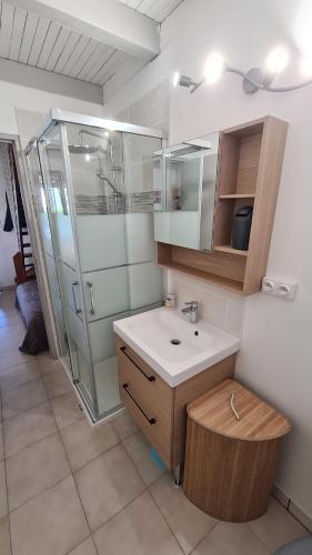 une salle de bain avec un lavabo et une douche dans l'établissement Villa, maison bord de mer climatisée, à Poggio-Mezzana
