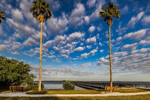 two palm trees and a pier with a blue sky with clouds at Grant Street Inn, an Ascend Collection Hotel in Dunedin