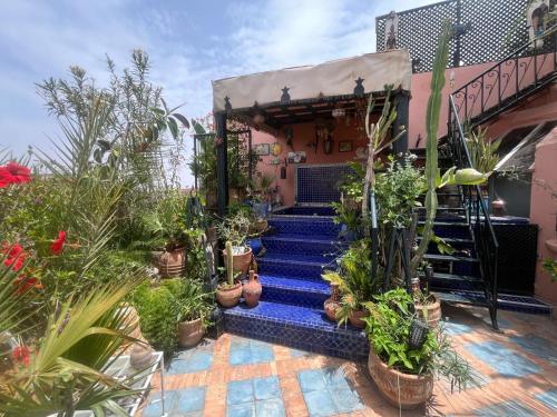 una casa con scale blu con piante in vaso di Penthouse Jaccuzi Atlas Marrakech a Marrakech