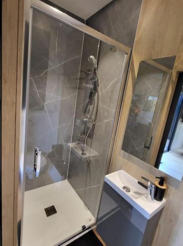 une salle de bain avec douche et lavabo dans l'établissement Lodge Cosy - Sauna & Jacuzzi., à Saint-Coulitz