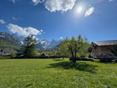 a field of green grass with a house and mountains at Country House Trata in Kranjska Gora