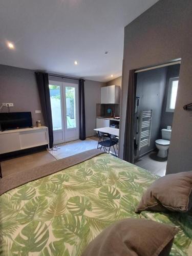 ボレーヌにあるStudio meublé tout confort climatiséの広いベッドルーム(ベッド1台、バスルーム付)