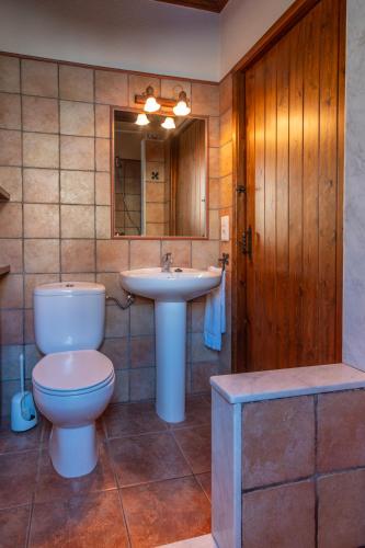 a bathroom with a toilet and a sink and a mirror at Can Tubau - Casa rural - Apartaments in Campelles