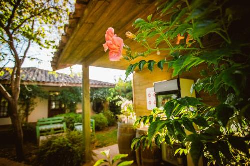 Un jardín fuera de Hotel Hoja de Parra