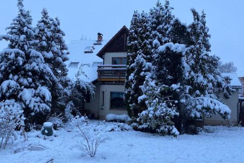two trees covered in snow in front of a house at Wohnung im Grünen, Haus Cara, 120m², 4 Zi, Kü, Bad in Schkeuditz