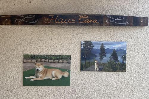 two pictures of a dog hanging on a wall at Wohnung im Grünen, Haus Cara, 120m², 4 Zi, Kü, Bad in Schkeuditz
