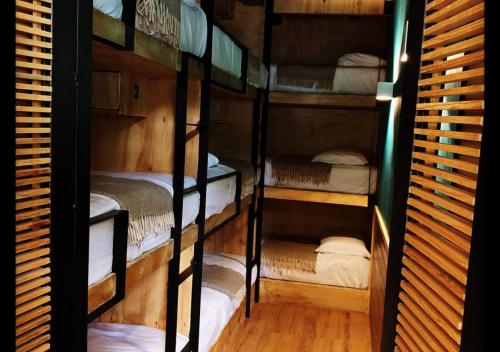a group of four bunk beds in a room at Mexico Hostel in Mexico City