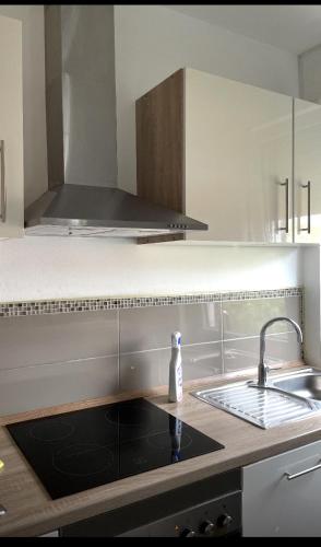 uma cozinha com um lavatório e uma garrafa de sabão em Apartament mit eine Schlafzimmer Ferienwohnung em Warendorf