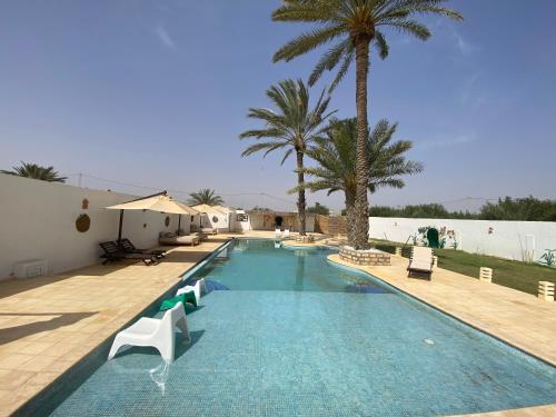 een zwembad met stoelen en een palmboom bij Dar Oueghlani - Maison d'hôtes in El Mây