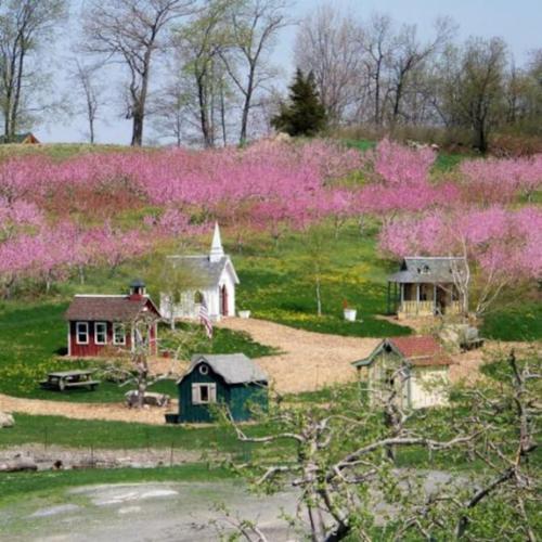 a group of houses in a field with pink flowers at Chateau Montreau on Hudson in Newburgh