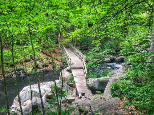 a wooden bridge over a river in a forest at Chateau Montreau on Hudson in Newburgh