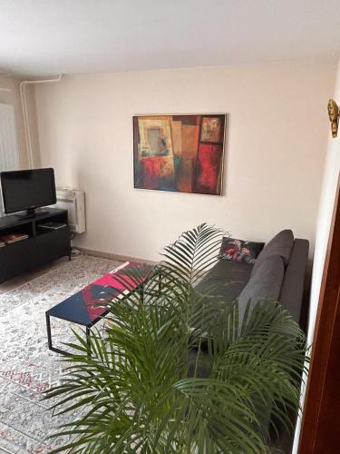 Appartement sur les bords de l'Ill