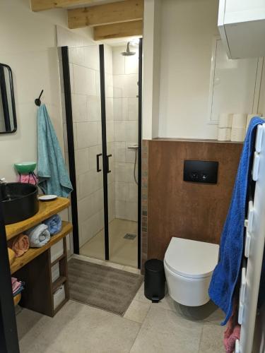 une salle de bain avec toilettes et douche dans l'établissement Penty breton cosy, à Plougonvelin