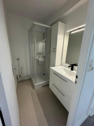 une salle de bain avec une douche, un lavabo et un miroir dans l'établissement Logement spacieux à 15min de Paris - Free parking - Free wifi, à Pantin
