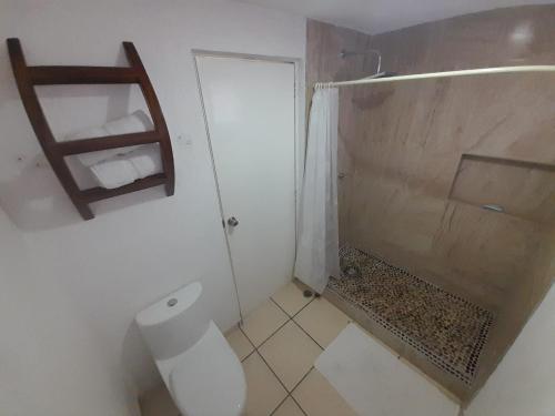 a small bathroom with a toilet and a shower at Apartamento familiar frente al mar Ixtapa Iguana in Ixtapa
