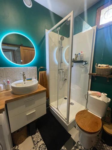 une salle de bain avec une douche, des toilettes et un lavabo dans l'établissement Appartement coup de cœur, à Caen