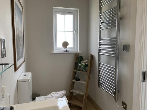 a bathroom with a sink and a toilet and a window at Seahorse Lodge at The Bay Filey, sleeps up to 6, and 2 dogs stay for free! in Filey