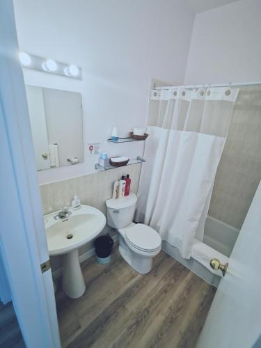 a bathroom with a toilet and a sink and a shower at 181 Oceanside Inn in Peggy's Cove