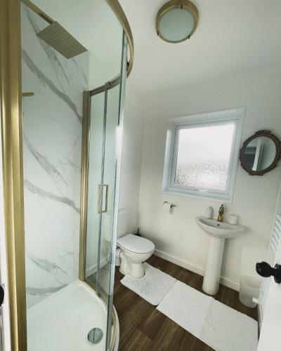 a bathroom with a shower and a toilet and a sink at Ty Ray Penmaes in Rhayader