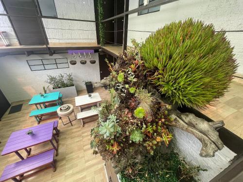an overhead view of a room with benches and plants at Súper Apartamento central en Casa Colonial Bogotá in Bogotá