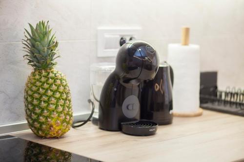 a pineapple sitting on a counter next to a juicer at Golden hill Vinča in Vinča