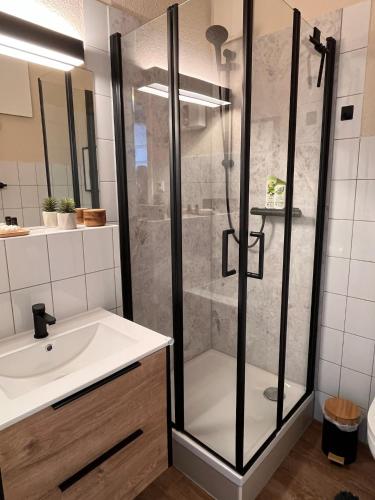 a bathroom with a shower and a sink at Gäste-Appartements Morgensonne & Sonnenschein in Dresden