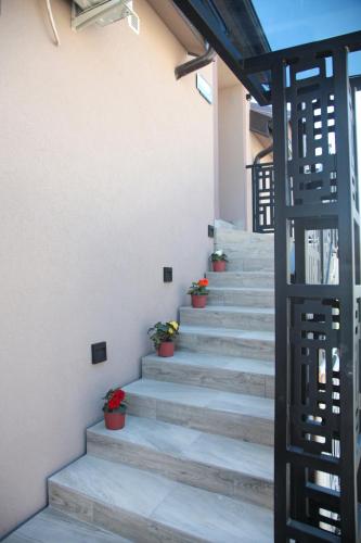 a staircase with potted plants on the side of a building at Golden hill Vinča in Vinča