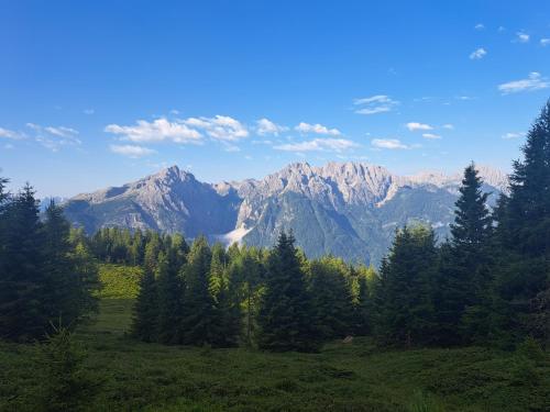a green field with trees and mountains in the background at Landhaus Königsreiner in Kolbnitz