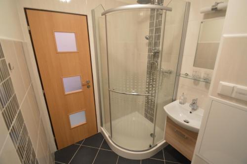 a bathroom with a shower and a sink at Garsonka Hliník in Třeboň