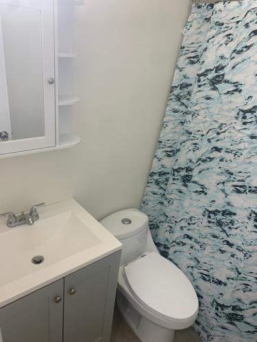 a bathroom with a toilet and a sink and a mirror at The Man Cave - Fort Lauderdale Free - Laundry - Parking - Bbq Grill in Fort Lauderdale