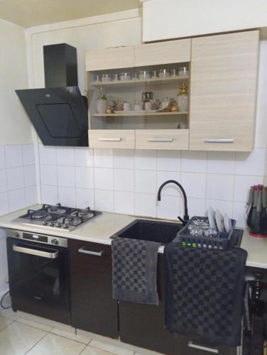 Il comprend une cuisine équipée d'un évier noir et d'une cuisinière. dans l'établissement Grand appartement Paris 11ème, à Paris