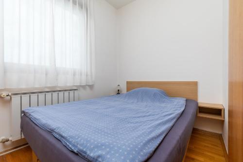 Apartments with parking space Zagreb - 22137