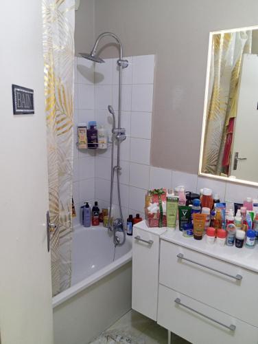 une salle de bain avec une douche, une baignoire et un lavabo dans l'établissement Grand appartement Paris 11ème, à Paris
