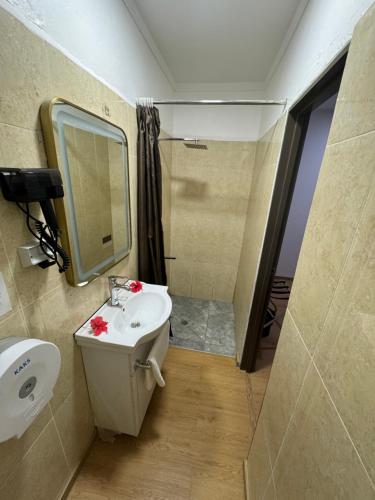 a bathroom with a sink and a mirror and a shower at Airport Ace Hotel in Nadi