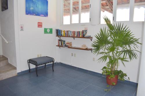 una habitación con una silla y una maceta en Hotel Plaza Almendros, en Isla Mujeres